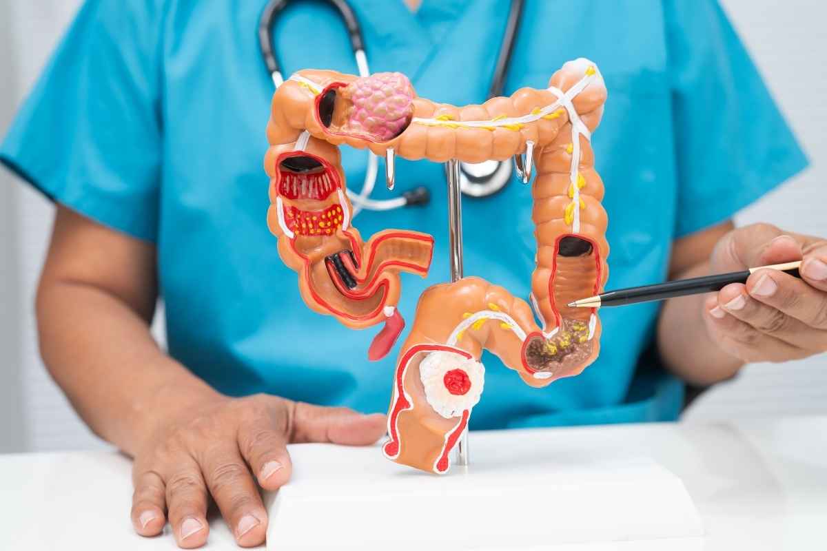 Quá trình phân giải thức ăn kém hiệu quả có thể làm đường ruột phải làm việc nặng hơn.