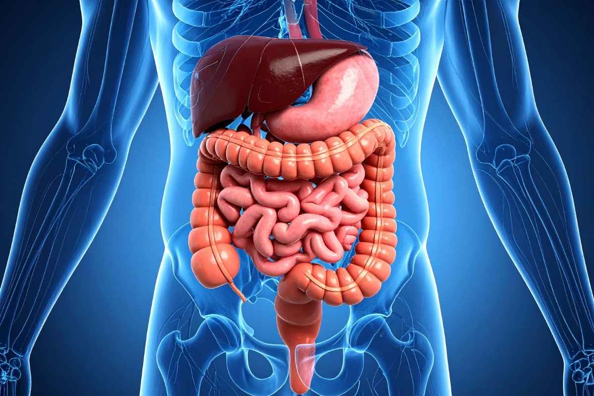 Thiếu enzyme có thể tạo ra một vòng xoáy từ tiêu hóa kém đến mệt mỏi và xuống sức kéo dài.