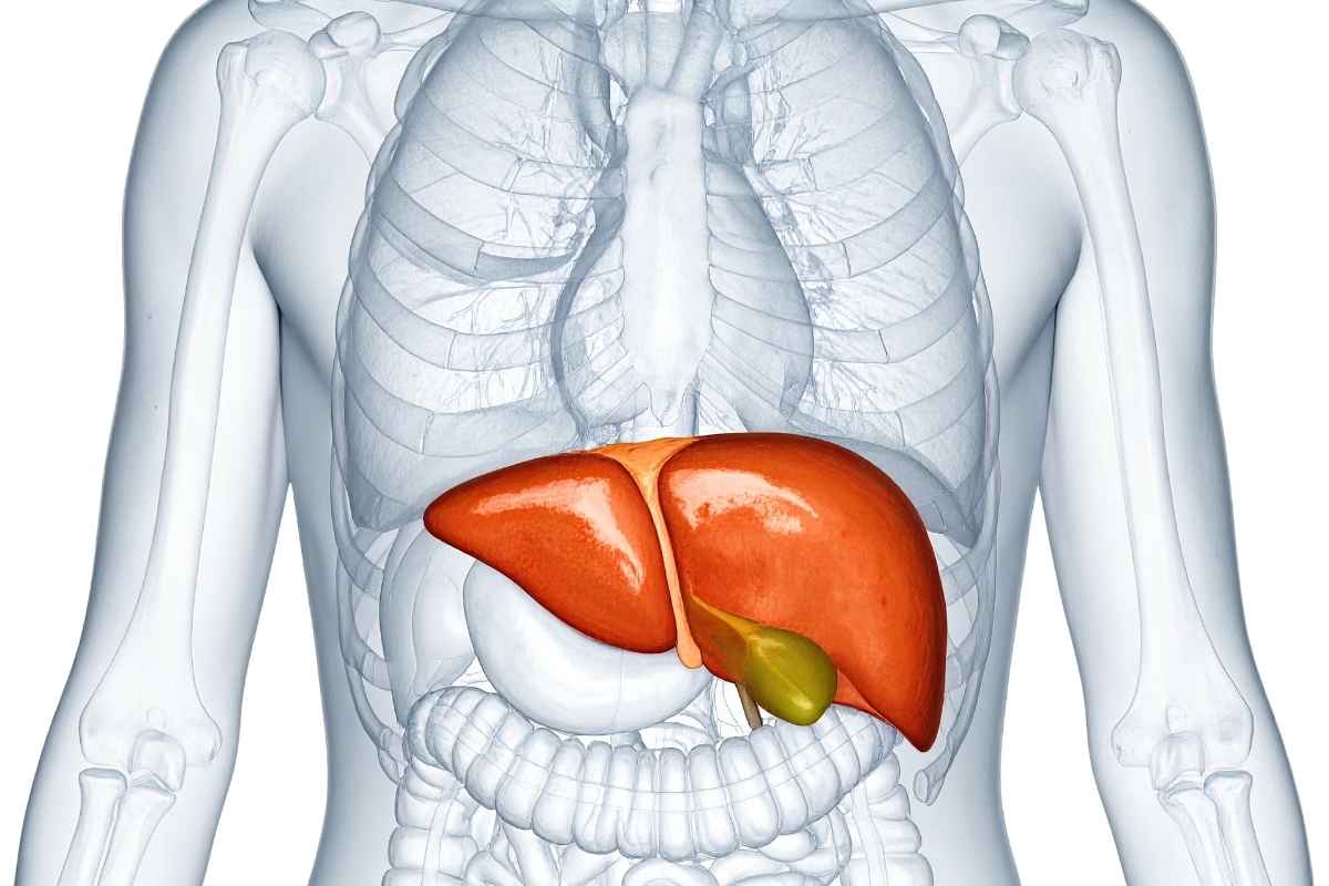 Cơ thể khó có nền năng lượng tốt nếu thức ăn không được phân giải và hấp thu hiệu quả.