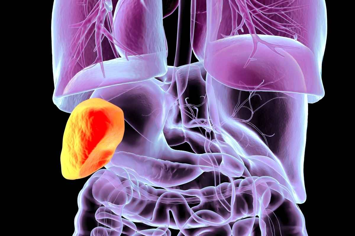 Khi tiêu hóa kém kéo dài, cơ thể có thể phải chịu thêm áp lực ở nhiều khâu vận hành khác.