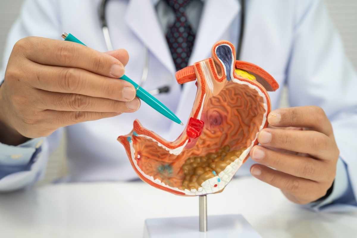 Một nền tiêu hóa suy yếu có thể kéo cơ thể vào vòng xoáy mệt mỏi và ngủ không phục hồi.