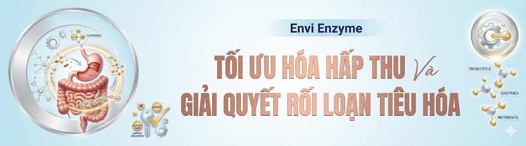 Ảnh 2